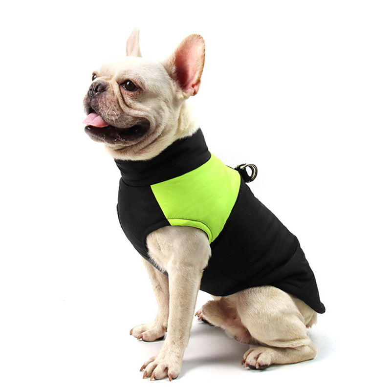 Chaqueta impermeable para perros