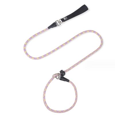 slip lead dog training leash