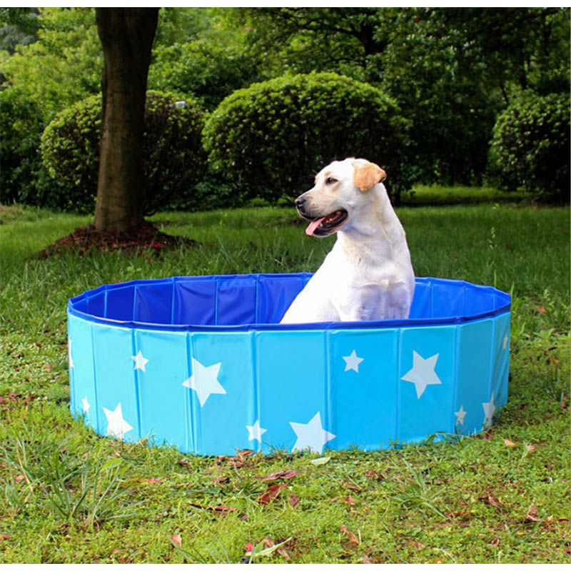 Mascotas piscina para perros