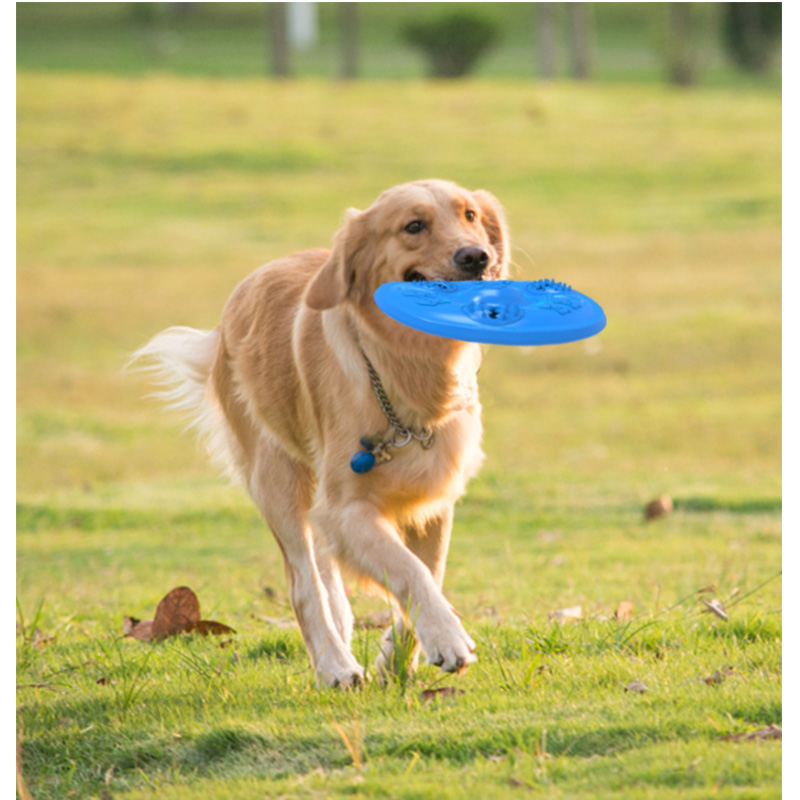 perra al por mayor frisbee con dispenser para juego divertido