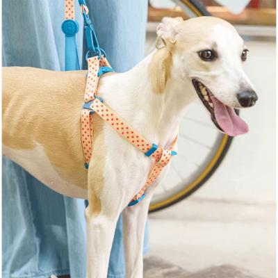 Premium Sweatproof Odor-Resistant Dog Harness