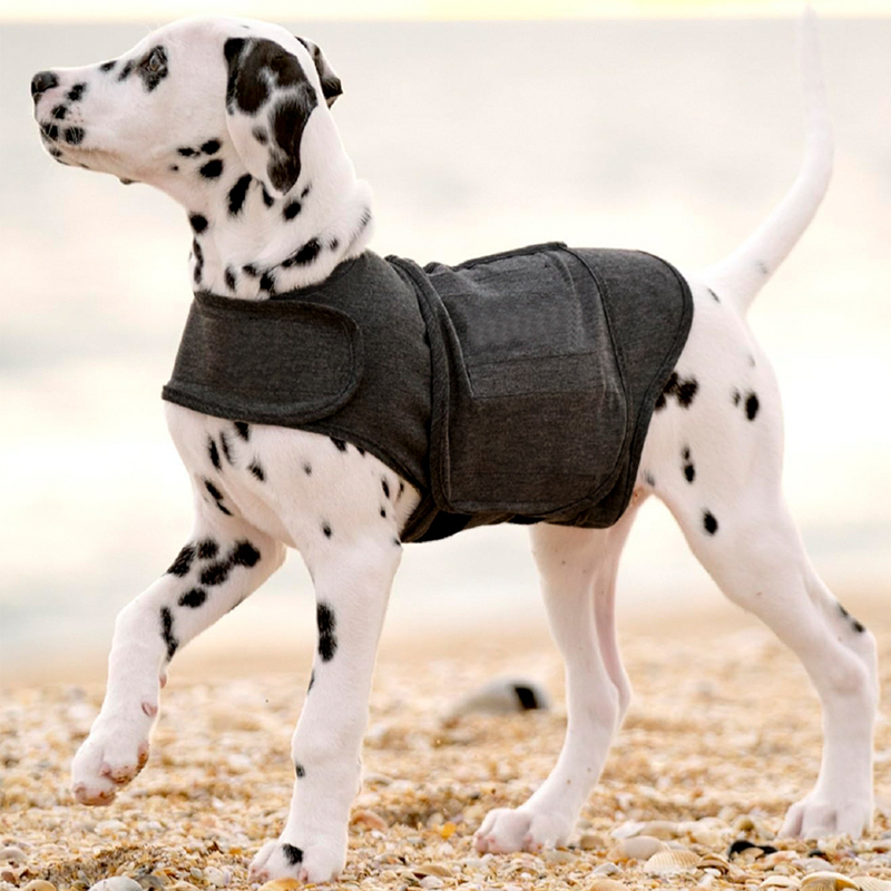 Chaleco calmante para el estrés y la ansiedad de tu perro